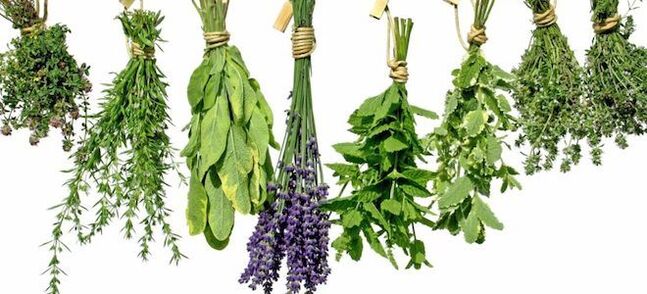 Herbs for increasing potency in men